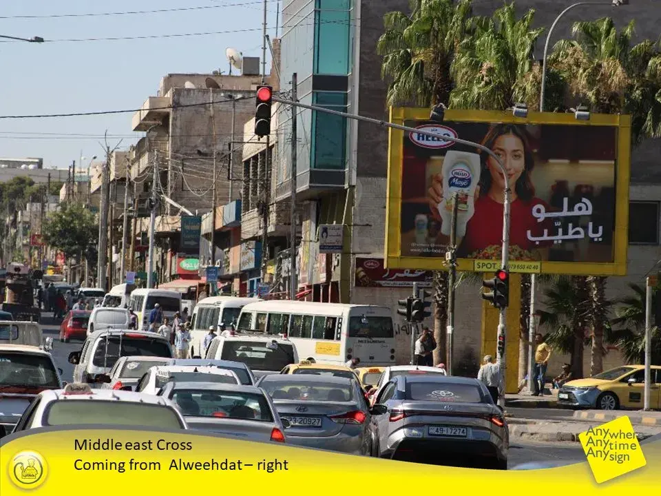 Middle East traffic light
